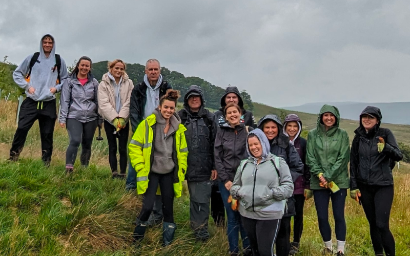LCF Law plants 500 trees in two years