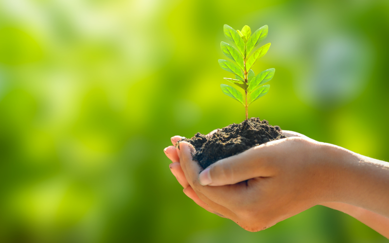 Survey reveals UK legal sector struggling with sustainability